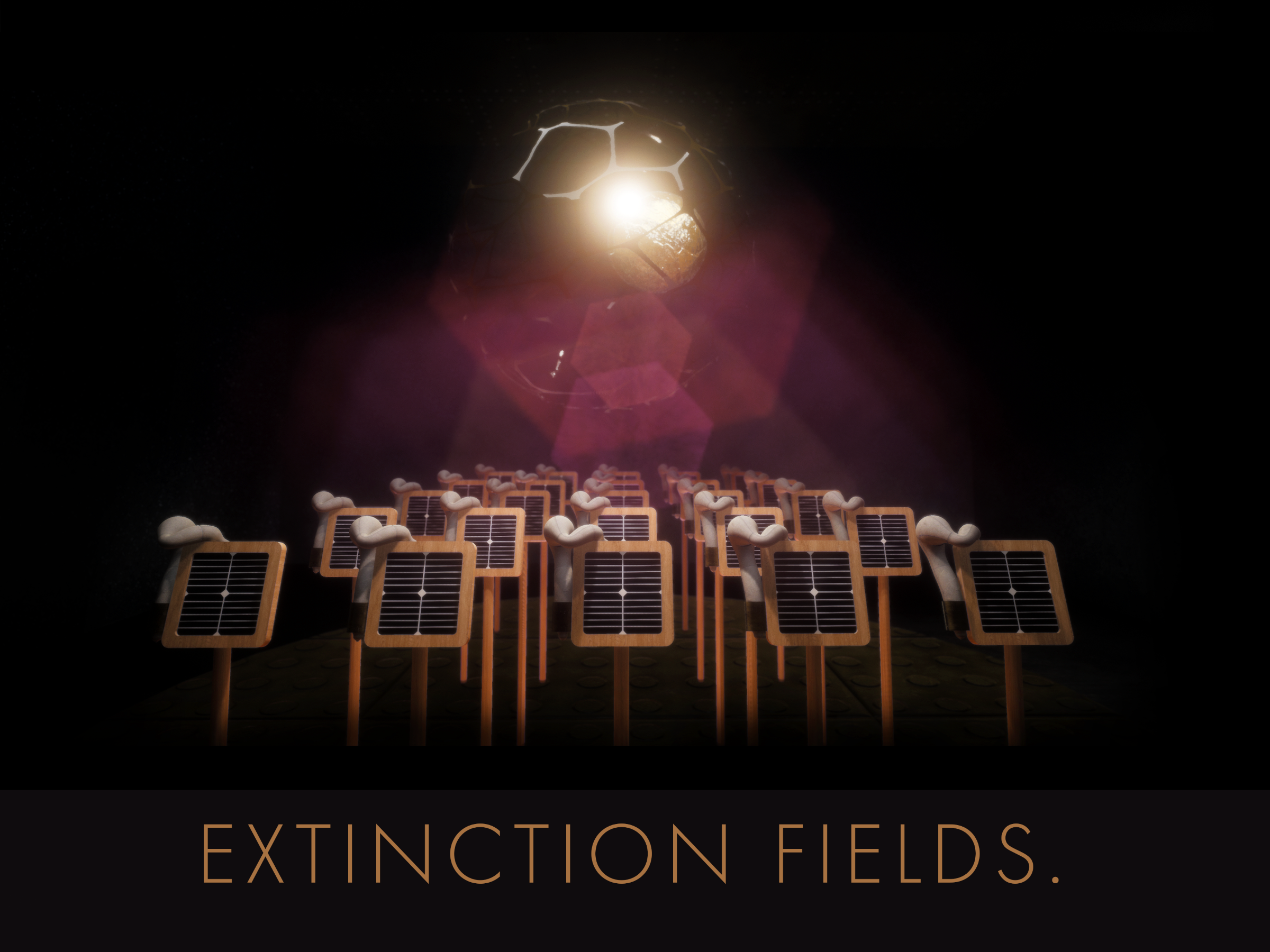 Extinction Fields